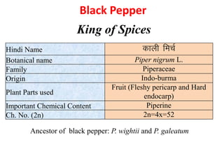 Black pepper_VS-221.pdf