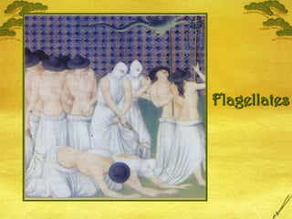 Flagellates