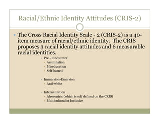 Black racial ethnic identity development antiracism research project | PDF