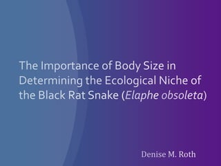 The Importance of Body Size in Determining the Ecological Niche of the Black Rat Snake (Elapheobsoleta) Denise M. Roth 