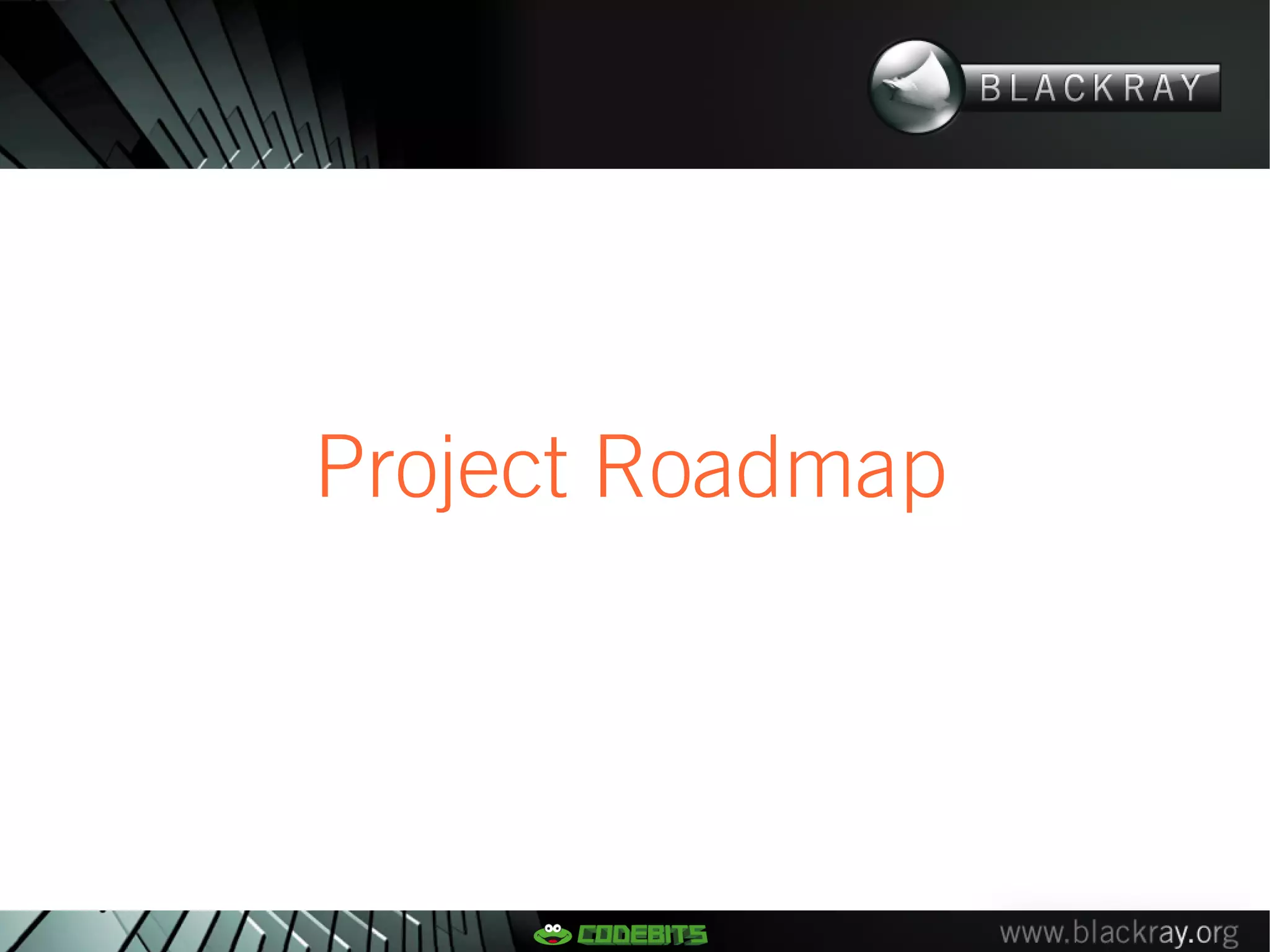 Project Roadmap
 