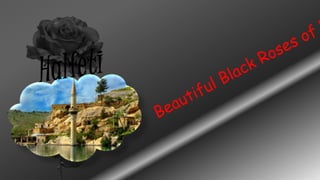 Black Rose Of Halfeti,Turkey | PPSX
