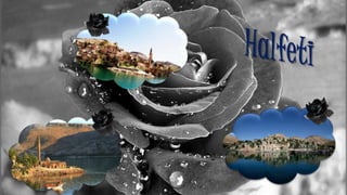Black Rose Of Halfeti,Turkey | PPSX