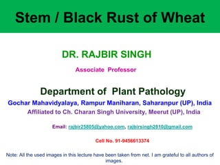 Stem / Black Rust of Wheat
DR. RAJBIR SINGH
Associate Professor
Department of Plant Pathology
Gochar Mahavidyalaya, Rampur Maniharan, Saharanpur (UP), India
Affiliated to Ch. Charan Singh University, Meerut (UP), India
Email: rajbir25805@yahoo.com, rajbirsingh2810@gmail.com
Cell No. 91-9456613374
Note: All the used images in this lecture have been taken from net. I am grateful to all authors of
images.
 