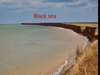 Black sea
 