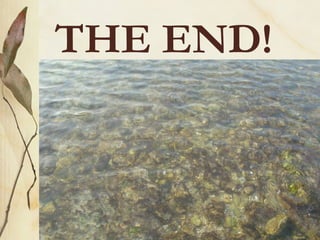 THE END!
 