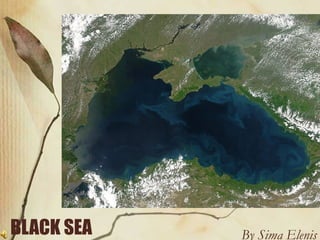 BLACK SEA   By Sima Elenis
 