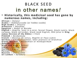 BLACK SEED
in other names!
• Historically, this medicinal seed has gone by
numerous names, including:
A f r i c a n = Ko l o n j i
A ra b i c = H a b b a t u s s a d a ( o r h a b b a s o o d a )
H i g h A ra b i c = S h o u n i z
A r m e n i a n = S h o u h m a
E g y p t i a n = H a b a t e t B a r a ka
E n g l i s h = N i g e l l a , l o v e - i n - a - m i s t , fe n n e l f l o w e r, b l a c k c u m i n , b l a c k
c a ra w ay, b l a c k c o r i a n d e r, b l a c k s e e d E n g l i s h , O l d ( a l s o i n K i n g
J a m e s Ve r s i o n o f t h e B i b l e ) = F i t c h
F in n is h = N e i d o n ku ka
F r e n c h = C h e v e u x d e v e n u s , N i g e l l e o r F a u x c u m i n
G e r m a n = S c h w a r z h u e m m e l , l a t e r p r o t v u r z o r b r o t c h r u t
G r e e k , A n c i e n t = M e l á n t h i o n o r m e l á s p e r m o m
H e b re w = Ke t za h
H i n d i a n d U r d u = Ka l o n j i
I n d i a n = N u t m e g f l o w e r
I t a l i a n = N i g e l a
P e r s i a n = S c h o n a i z
R u s s i a n = C h a r n u s h ka
S r i L a n k a n = Ka l a d u r u
 