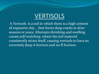 VERTISOLS
A Vertisols is a soil in which there is a high content
of expansive clay , that forms deep cracks in drier
seasons or years. Alternate shrinking and swelling
causes self-mulching, where the soil material
consistently mixes itself, causing vertisols to have an
extremely deep A horizon and no B horizon.
 
