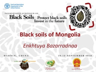 Black soils of Mongolia
Enkhtuya Bazarradnaa
 