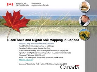 Black Soils and Digital Soil Mapping in Canada
Xiaoyuan Geng, Brian McConkey and Juanxia He
Head/Chef, Soil Scientist/chercheur en pédologie
Canadian Soil Information Service (CanSIS)
Science and Technology Branch / Analyse et applications de paysage
Agriculture and Agri-Food Canada/Agriculture et Agroalimentaire Canada
Telephone/Téléphone: 613-759-1895
Room 1136, Neatby Bld., 960 Carling Av. Ottawa, ON K1A0C6
http://sis.agr.gc.ca/
Network of Black Soils, FAO, Harbin, P. R. China, September, 2018
 