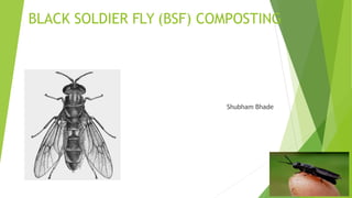 BLACK SOLDIER FLY (BSF) COMPOSTING
Shubham Bhade
 