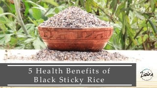 5 Health Benefits of
Black Sticky Rice
 