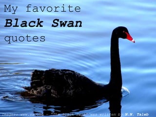 My favorite
 Black Swan
 quotes




Images: www.sxc.hu – “The Black Swan” was written by N.N. Taleb
 
