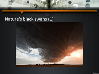 Nature's black swans (1)
 