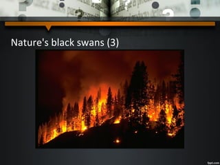 Nature's black swans (3)
 
