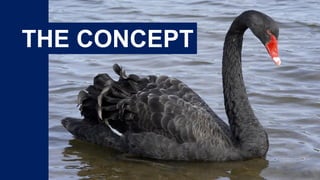 THE CONCEPT
 