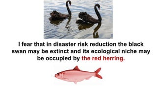 I fear that in disaster risk reduction the black
swan may be extinct and its ecological niche may
be occupied by the red herring.
 