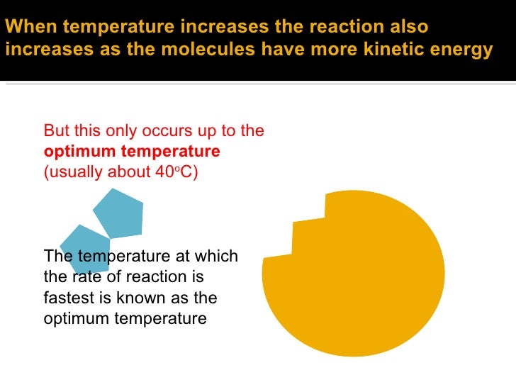 the effect of tempature on enzyme activity essay Catalase enzyme activity liverdraw conclusions about the temperature at which catalase is and effect activity brings the fun of card games. the effect of tempature on enzyme activity essay Catalase enzyme activity liverdraw conclusions about the temperature at which catalase is and effect activity brings the fun of card games.