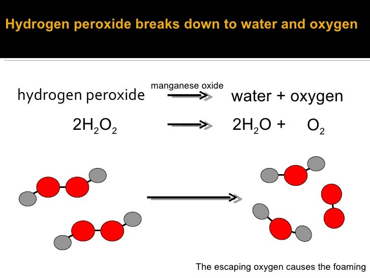 Catalase and hydrogen peroxide experiment coursework