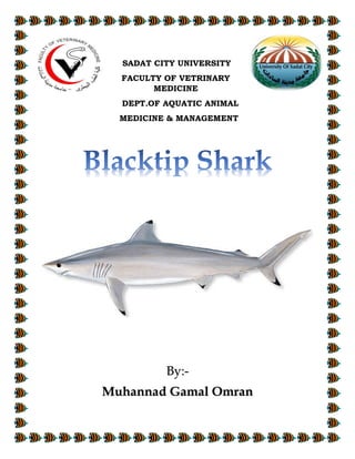 SADAT CITY UNIVERSITY
FACULTY OF VETRINARY
MEDICINE
DEPT.OF AQUATIC ANIMAL
MEDICINE & MANAGEMENT
By:-
Muhannad Gamal Omran
 