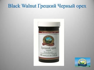 Black Walnut Грецкий Черный орех
 