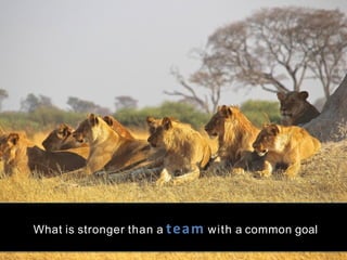 What is stronger than a team  with a common goal
 
