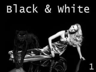 Black & White 1 
