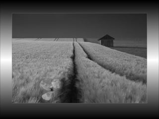 Black&white vscolors4