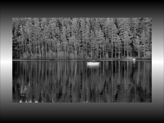 Black&white vscolors4