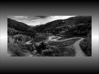 Black&white vscolors4