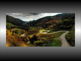 Black&white vscolors4