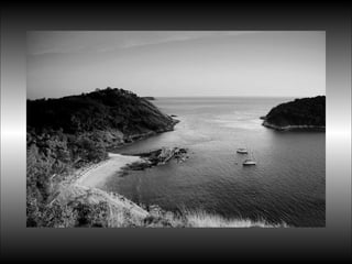 Black&white vscolors4