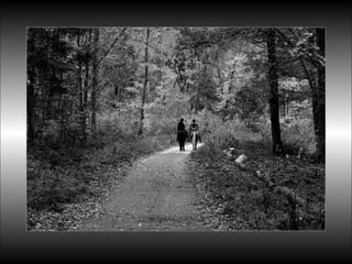 Black&white vscolors4