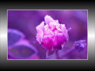 Black&white vscolors4