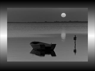 Black&white vscolors4