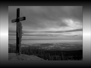 Black&white vscolors4