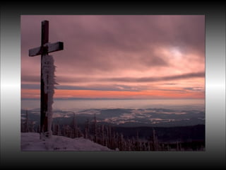 Black&white vscolors4