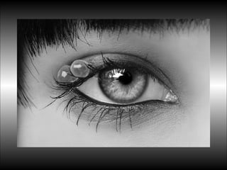 Black&white vscolors4