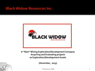 A"“New”"Mining"Exploration/Development"Company"
Acquiring"and"Evaluating"projects""
as"Exploration/Development"Assets"
"
(December,""2013)"
TSX"Venture:"BWR"

1"

 