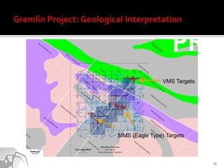 VMS Targets




MMS (Eagle Type) Targets



                              14
 