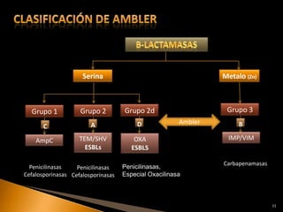 Serina                                     Metalo (Zn)



  Grupo 1           Grupo 2         Grupo 2d                     Grupo 3
                        A                D             Ambler
                                                       Ambler        B
       C
    AmpC            TEM/SHV             OXA                      IMP/VIM
                      ESBLs            ESBLS

                                                                Carbapenamasas
  Penicilinasas    Penicilinasas    Penicilinasas,
Cefalosporinasas Cefalosporinasas   Especial Oxacilinasa



                                                                                 11
 
