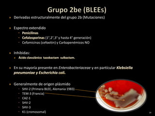    Derivadas estructuralmente del grupo 2b (Mutaciones)

   Espectro extendido

                       (1°,2°,3° y hasta 4° generación)
       Cefamicinas (cefoxitin) y Carbapenémicos NO

   Inhibidas:


   En su mayoría presente en Enterobacteriaceae y en partícular



   Generalmente de origen plásmido
         SHV-2 (Primera BLEE, Alemania 1983)
         TEM-3 (Francia)
         CAZ-1
         SHV-2
         SHV-3
         K1 (cromosomal)                                          14
 