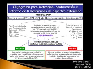 Dra Erna Cona T
  Hospital FACH
 Clínica INDISA
              20
 