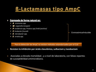 eromonas spp.
          organella morganii
        rovidencia spp, Proteus spp.(indol positivo)
        itrobacter freundii
                                                                       Cromosómica/Inducible
         nterobacter spp.
         erratia spp.



        Para la detección de AmpC no existen métodos estandarizados por el CLSI

   Resisten la inhibición por ácido clavulánico, sulbactam y tazobactam

   Asociadas a elevada mortalidad , y a nivel de laboratorio, con falsos reportes
    de susceptibilidad antimicrobiana.



                                                                                               21
 