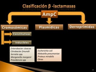 Enterobacter cloacae
Citrobacter freundii   Escherichia coli
Serratia spp.          Klebsiella pneumoniae
Morganella morganii    Proteus mirabilis
Providencia spp        Otras



                                               22
 