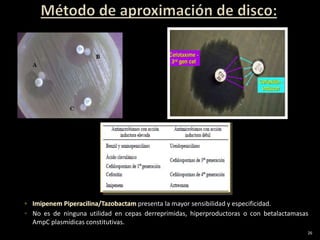presenta la mayor sensibilidad y especificidad.
◦ No es de ninguna utilidad en cepas derreprimidas, hiperproductoras o con betalactamasas
  AmpC plasmídicas constitutivas.
                                                                                        26
 