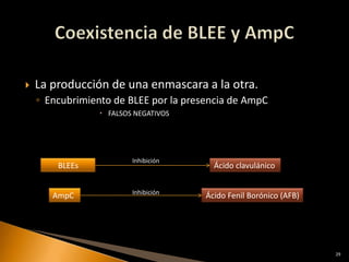    La producción de una enmascara a la otra.
    ◦ Encubrimiento de BLEE por la presencia de AmpC
                  FALSOS NEGATIVOS




                         Inhibición
        BLEEs                            Ácido clavulánico


                         Inhibición
       AmpC                            Ácido Fenil Borónico (AFB)




                                                                    29
 