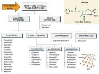 Mecanismo de
   Acción




               3
 