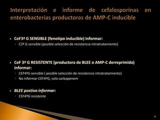 ◦ C3ª G sensible (posible selección de resistencia intratratamiento)




◦ CEF4ªG sensible ( posible selección de resistencia intratratamiento)
◦ No informar CEF4ºG, solo carbapenem



◦ CEF4ªG resistente




                                                                         31
 